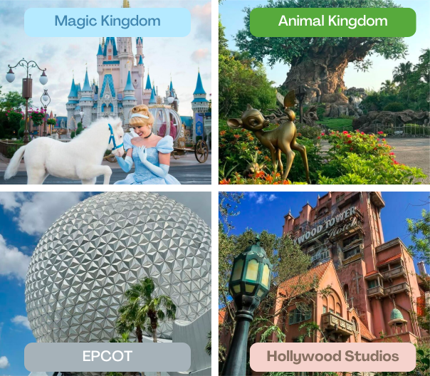 Disney World Orlando